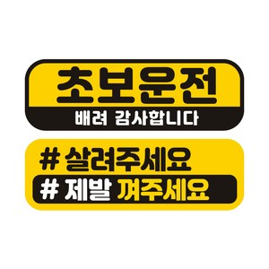 제제데코 자동차 탈부착 자석 고휘도 반사 미디엄 스티커 E230 2종 세트, EC002 + EC048, 1세트