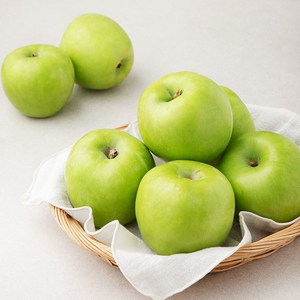 초록사과, 1봉, 1.5kg(중과 7~8입)