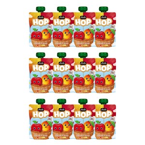 아넬라 생과일 짜먹는 외출용 아넬라 HOP, 100g, 12개, 애플망고