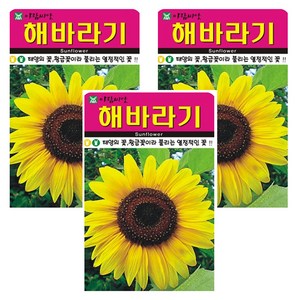 아람씨앗 해바라기 꽃 씨앗 종자 50p, 3개