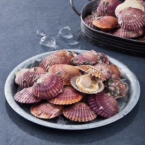 어부심 고흥 통통하게 살이오른 제철 가리비 (냉장), 2kg, 1개 골드박스 특가