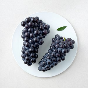 모아바이오팜 캠벨포도, 1개, 1kg 골드박스 특가