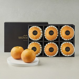 다복 시그니처 나주 신고배 선물세트, 1개, 5kg(6입)