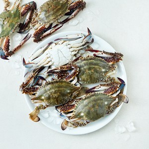 산지직송 서해안 일품 햇 꽃게 (냉장), 1개, 2kg 골드박스 특가