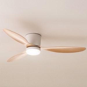 스피아노 샌디 IoT 원격제어 LED BLDC 유선형 실링팬 132cm, 화이트 + 네츄럴