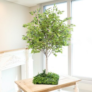 조화나무 자작나무 인조목 받침형 150cm, 화이트(받침), 그린(인조목), 1개