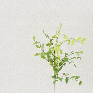 홈앤데코 혼자서 붙이는 셀프용 벽지, 라이트그레이(49577-03)
