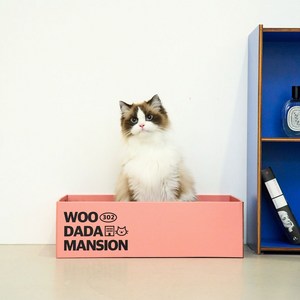 우다다맨숀 고양이 빅사이즈 사냥놀이 스크래쳐, PANTONE 2339C, 1개