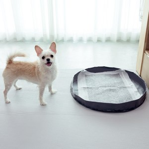 딩동펫 강아지 샘방지 방수 배변 매트, 그레이, 1개