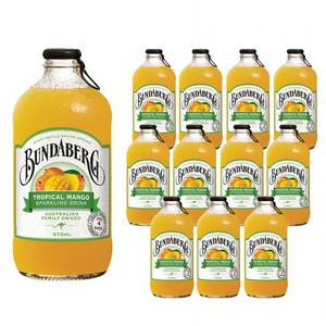 분다버그 트로피칼 망고 드링크, 375ml, 12개 골드박스 특가