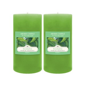 더허브샵 아로마 캔들, 유칼립투스, 570g, 2개