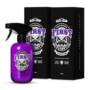 로드몬스터 퍼스트 유리막코팅제, 500ml, 2개