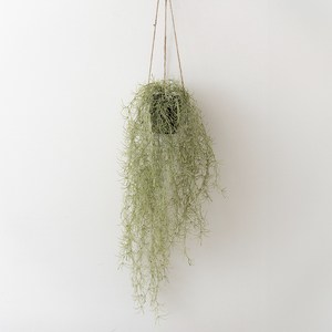 플라우스302 조화 틸란드시아 행잉 화분 벽걸이장식 80cm, 그린, 1개