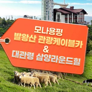[평창] ★추석기획전★ 모나용평 발왕산관광케이블카,발왕산관광케이블카&삼양라운드힐 특가 골드박스 특가