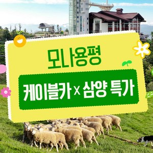 [평창] ★7/16 골드박스★ 모나용평 발왕산관광케이블카/발왕산케이블카+삼양라운드힐 특가 골드박스 특가