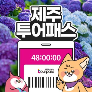 [제주] ★제주투어패스 단독특가★ 골드박스 특가