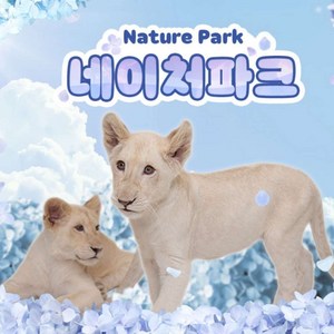 [대구] [골드박스] 대구 네이처파크 이용권 특가 골드박스 특가