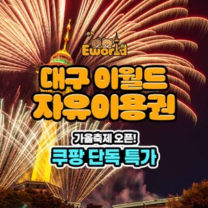 [대구] ★단독특가★ 대구 이월드 자유이용권1인 (종일/야간) 골드박스 특가