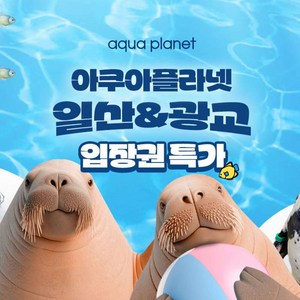 [일산/광교] 아쿠아플라넷 입장권 특가! 골드박스 특가