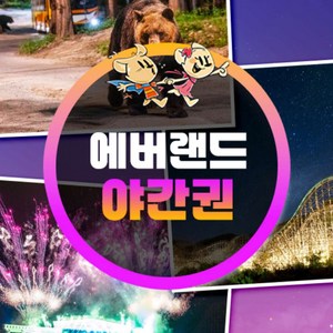 [용인] ★특가★ 에버랜드 야간이용권 골드박스 특가