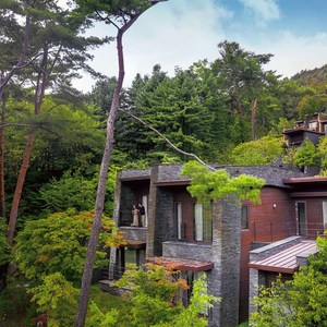 [충청] [제천] 레스트리/포레스트, 쿠팡 단독 특가!! 골드박스 특가