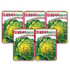 아시아종묘 봄동배추 춘동102 씨앗 20g, 5개