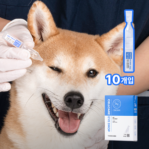 두카메디 셀케어 아이드롭 일회용 강아지 전용, 10개, 1ml