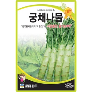 세계종묘 산들마켓 궁채나물 씨앗 1000립 줄기상추 궁채나물씨 종자, 1개