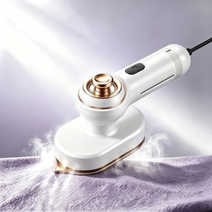 Emerlald 핸디형 소형스팀다리미 다용도 회전 고속예열 가정용 미니스팀다리미, 화이트, YDD86