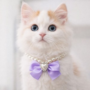 강아지 비즈 리본 진주 패션 목걸이, 1개, 보라
