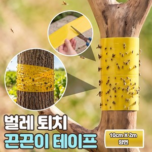 로니베이 초강력 끈끈이 테이프 나무 해충 벌레잡는 양면 트랩, 1개, 트루옐로우