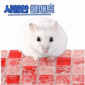 햄스터 대리석 매트 쿨매트 잘라쓰는 쿨방석 데크 소형 골든 은신처 피그미다람쥐 리틀띵즈, 쿨레드