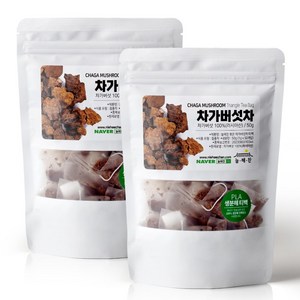 늘해찬 볶은 차가버섯 티백 차가버섯차 티백 삼각티백 대용량, 1g, 100개입, 1개