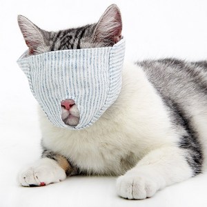 아티펫 고양이 통기성 관리 마스크 노출형, White, 1개