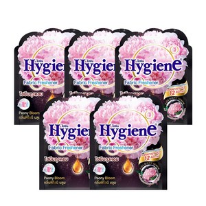 하이젠 옷장용 차량용 퍼퓸 방향제 피오니 블룸, 8g, 5개
