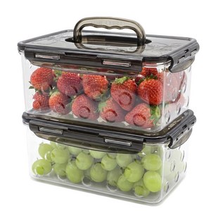 에이엘에스 비스프리 트라이탄 밀폐용기 김치통, 2개, 2.5L