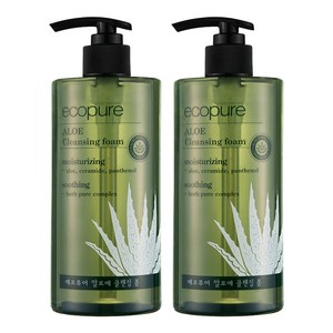 꽃을든남자 에코퓨어 알로에 클렌징 폼, 2개, 500ml