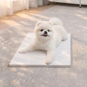 아미체볼레 강아지 쿨매트 대리석 고양이 여름 방석 반려동물 침대 엔지니어드스톤 냉감 패드, 1개, [랜덤발송]밝은계열