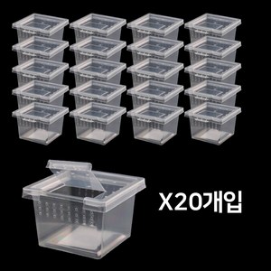 적재형 미니사육장 20개입 세트 파충류 미니케이지 곤충 크레알통, 20개, 단일
