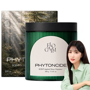 플로캄 대용량 실내 고체 탈취제 화장실 신발장 옷장 악취 냄새 제거 피톤치드 향, 1개, 500g