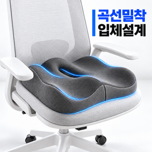 엔코픽 프리미엄 쫀득 방석 메모리폼 꼬리뼈 치질, 라이트그레이