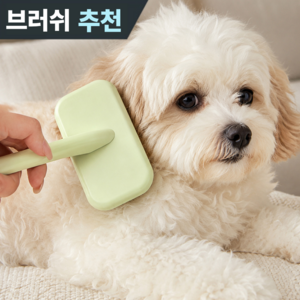 온도비움 강아지 고양이 슬리커 브러쉬 엉킨털 제거 저자극 빗, 1개, 민트(S)