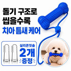 바뮤넬 강아지 터그놀이 이갈이 장난감 치발기에 좋은 칫솔2개 증정, 1개, 블루