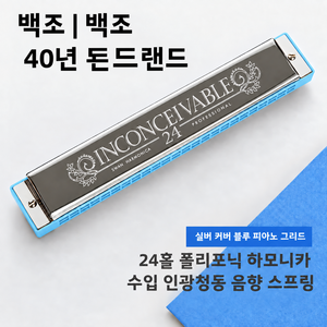 24홀 C조 하모니카 트레몰로 복음 입문용 악기 케이스 포함, 1개, 실버 (블루 콤), S1