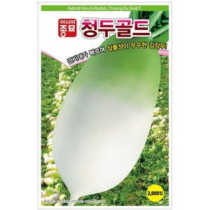 김장무 씨앗 2000립 / 청두골드 육질이 치밀한 맛좋은 김장용 무 종자 / 가을 파종, 1개