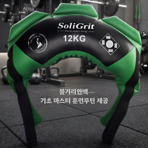 솔리그릿 전신 심폐근력운동 불가리안백 무소음 홈트기구, 12kg, 그린