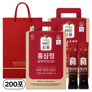 1+1 홍삼정 올데이타임 100 대용량+쇼핑백, 2개, 1L