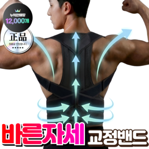 바디온케어 확실한 바른자세 밴드 체형 어깨 등 체형 보정기, 1개