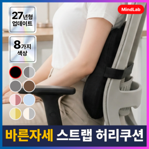 마인드랩 바른자세 사무실 등받이 허리쿠션, 블랙