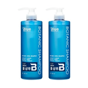 [리힘] 바이블루 보타닉 쿨 샴푸 700ml x 2 더블세트 두피쿨링 청량케어, 2개